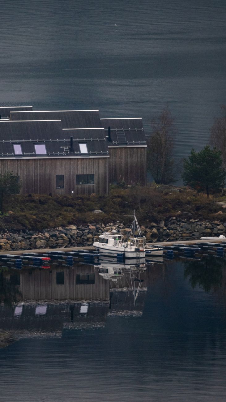 Nordic fjord at dusk with wooden cabins