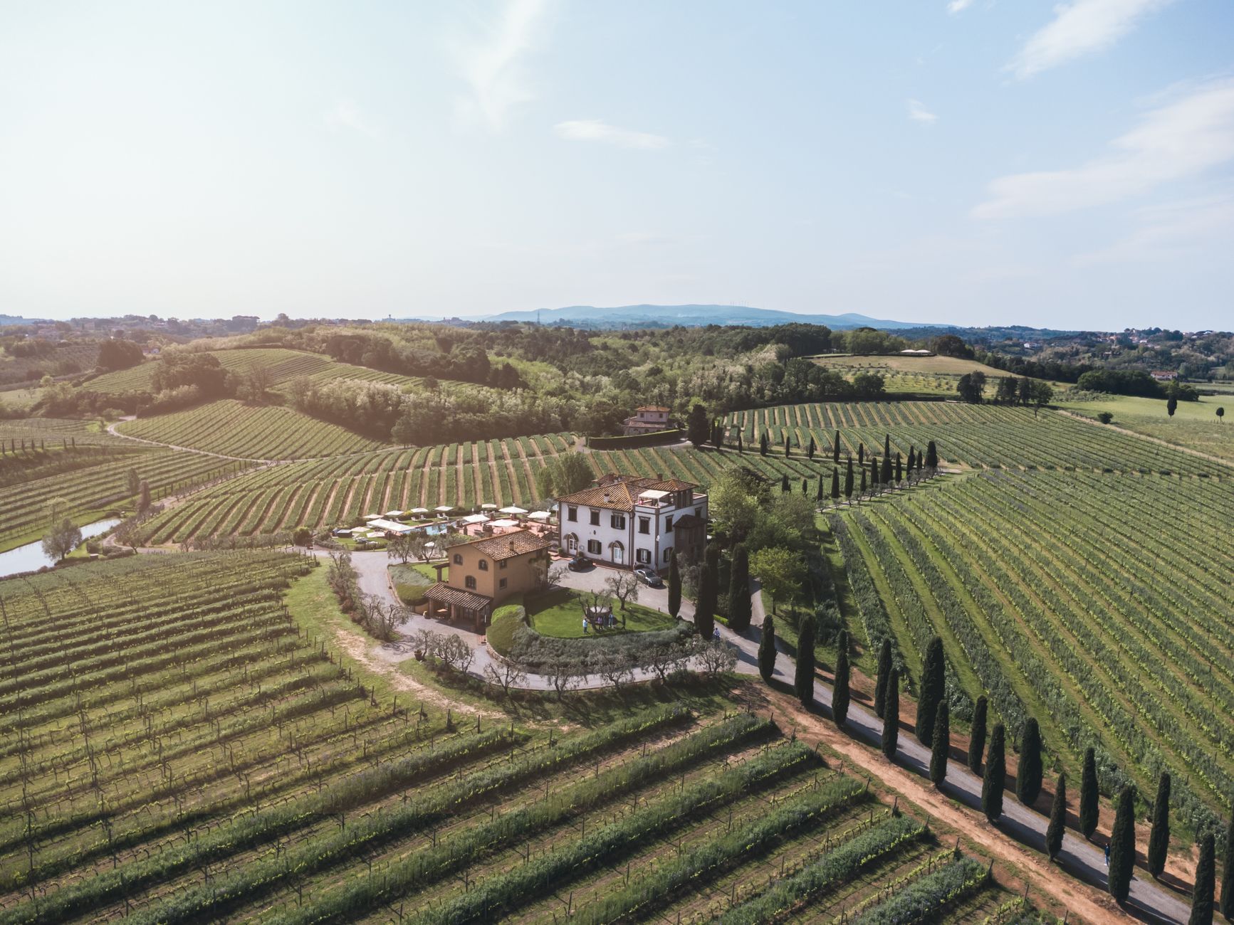 Exclusive hillside vineyard estate
